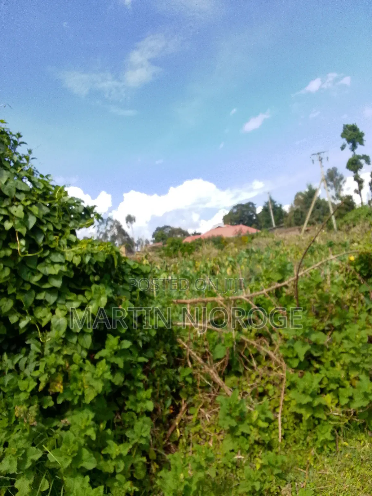 50 by 100 Kamandura in Limuru CBD