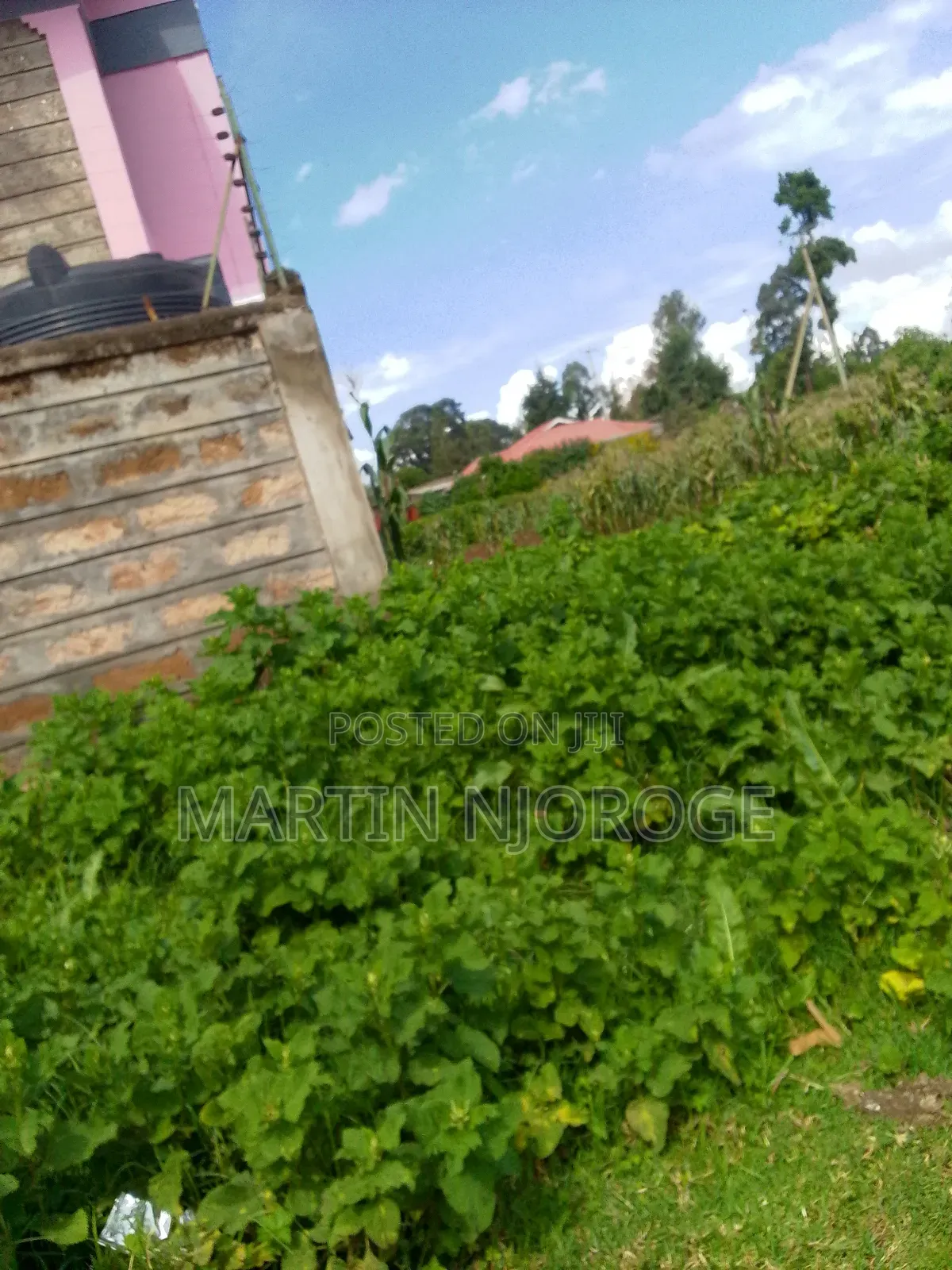 50 by 100 Kamandura in Limuru CBD