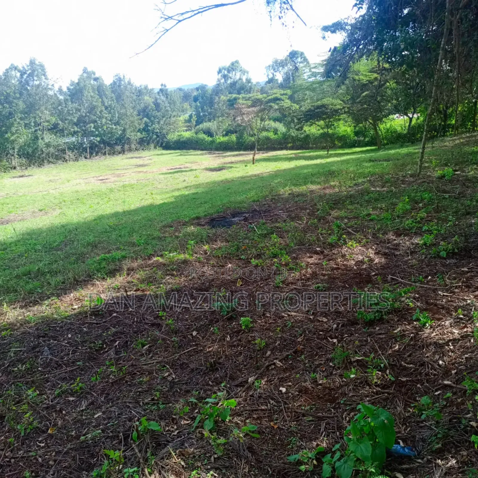 1 Acre Red Soil Land for Sale in Ngong Olkeri in Ol Keri