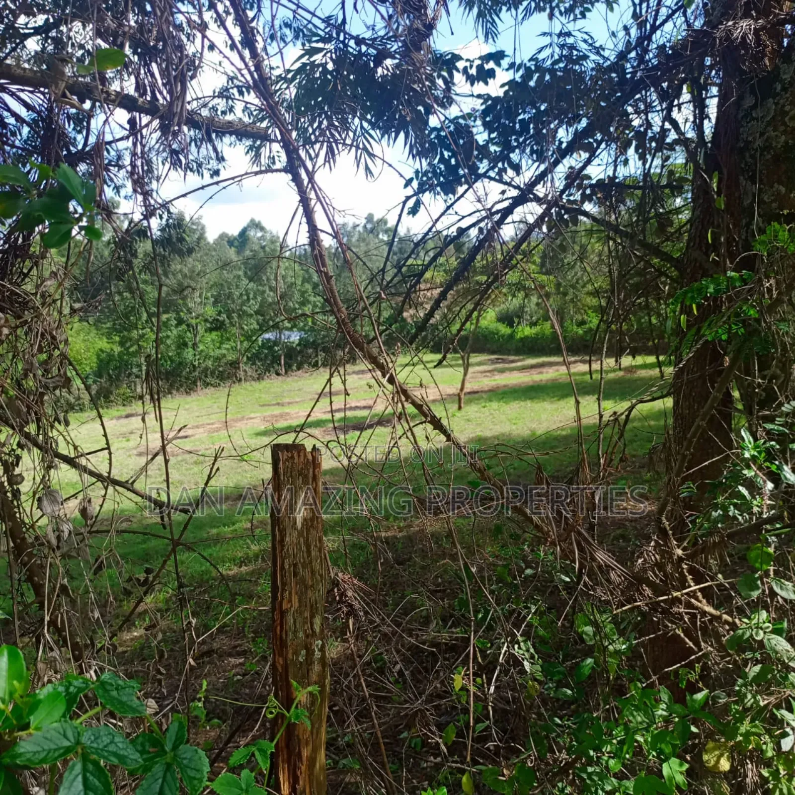 1 Acre Red Soil Land for Sale in Ngong Olkeri in Ol Keri
