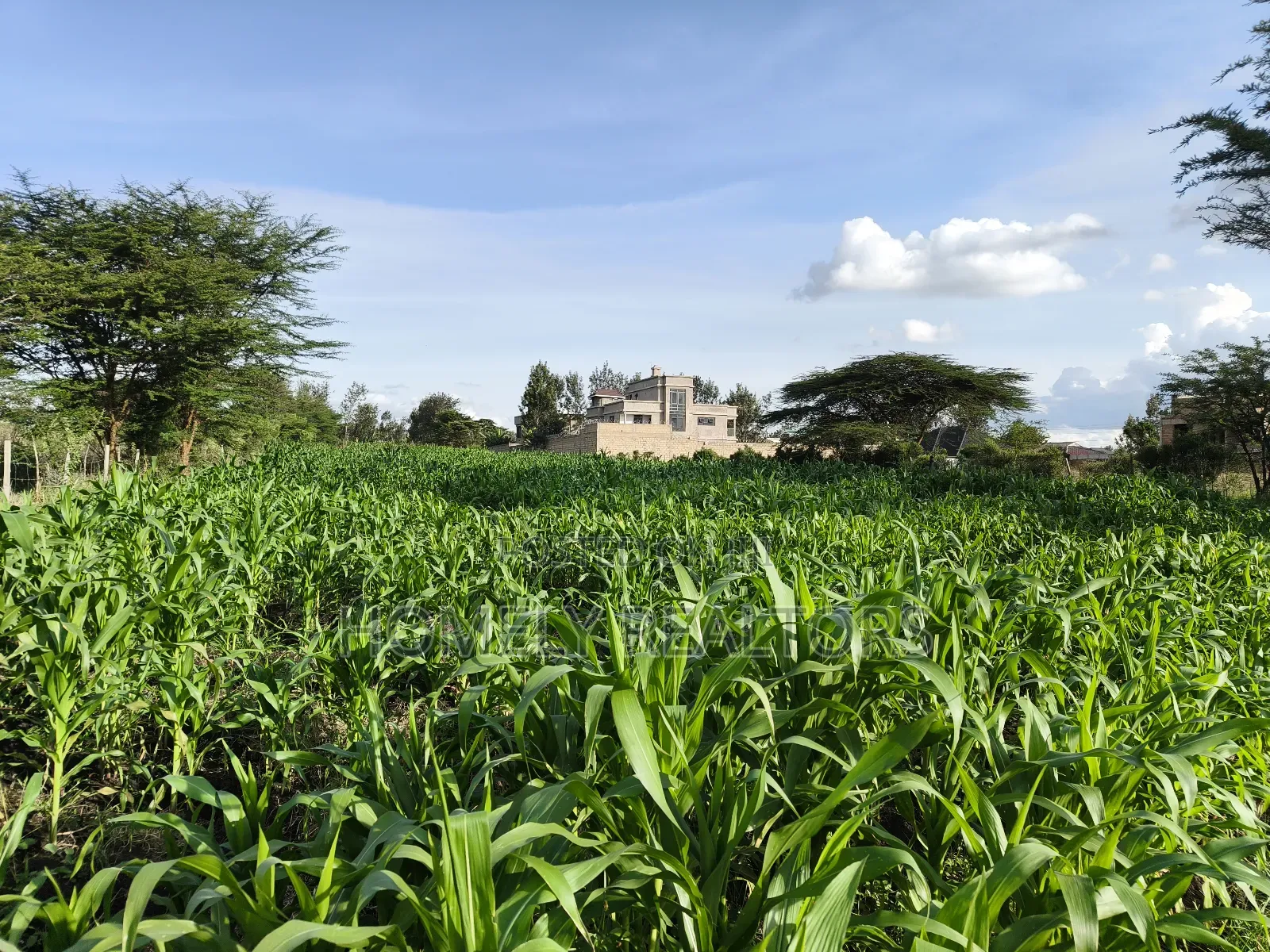 One Acre Piece of Land in Ongata Rongai, Rimpa Near Tarmac in Rimpa