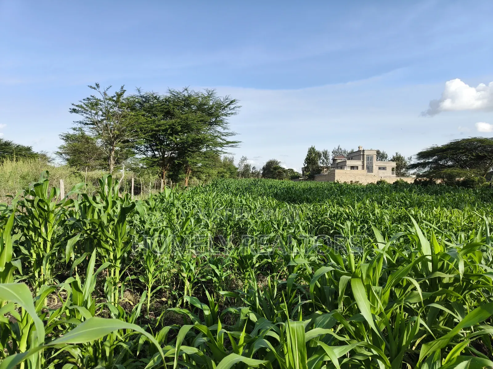One Acre Piece of Land in Ongata Rongai, Rimpa Near Tarmac in Rimpa