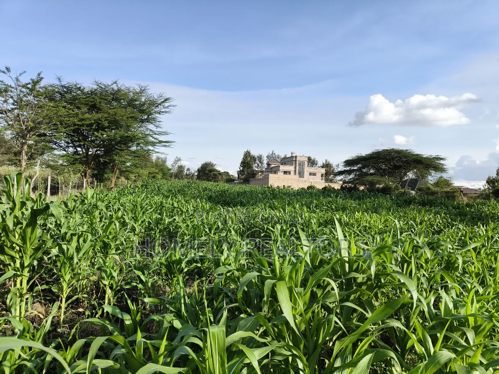One Acre Piece of Land in Ongata Rongai, Rimpa Near Tarmac in Rimpa