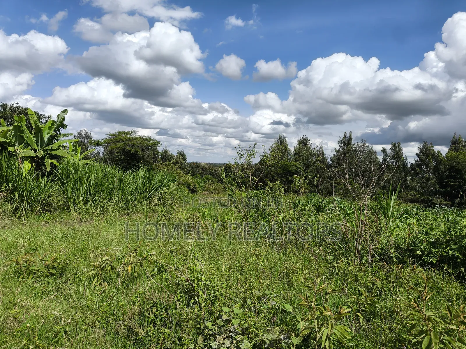 Half Acre Piece of Land in Ongata Rongai, Nkoroi, Oloika Rd in Nkoroi