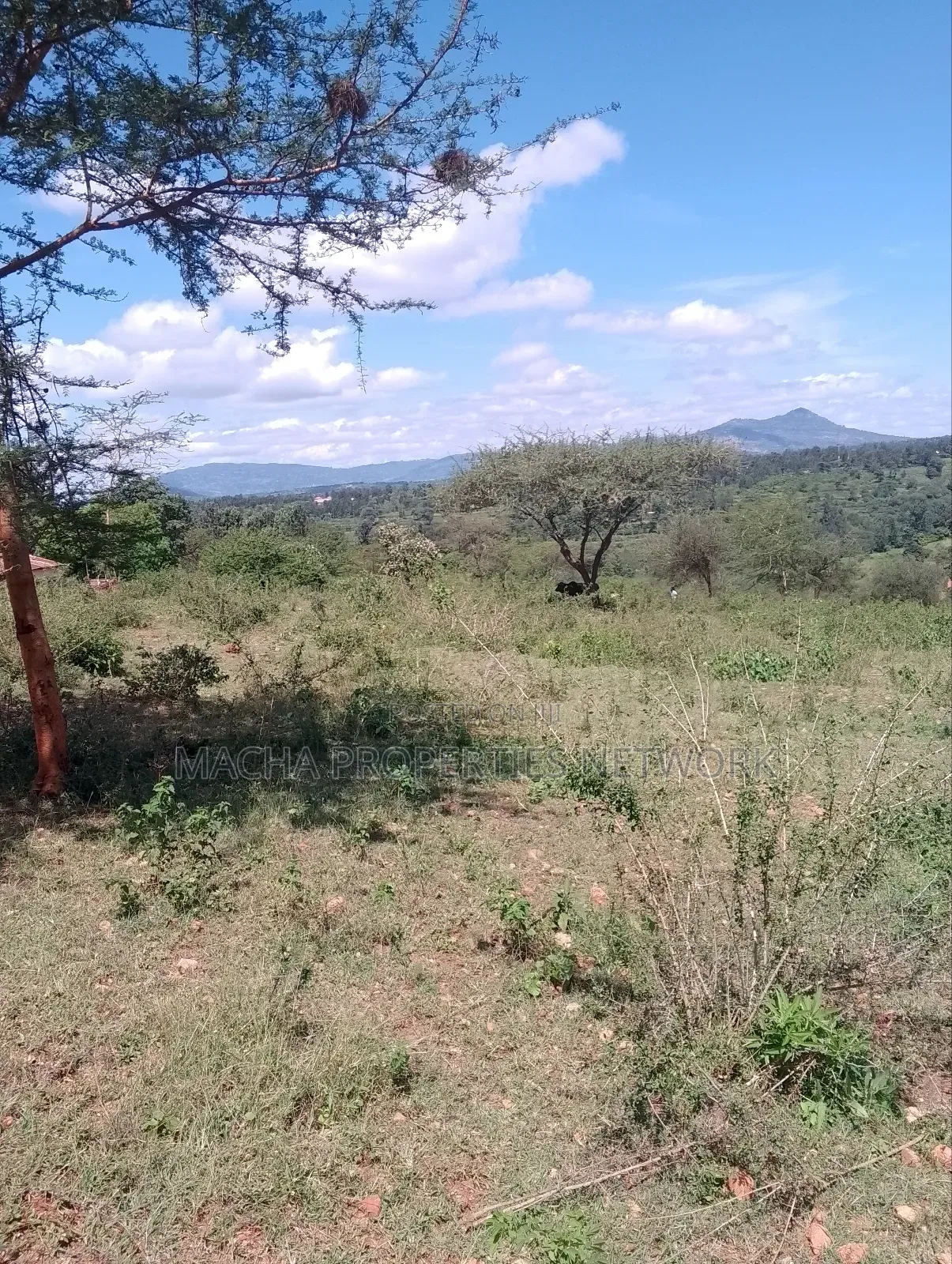 Machakos 5 Acres Kaani Kathinu in Lower Kaewa/Kaani
