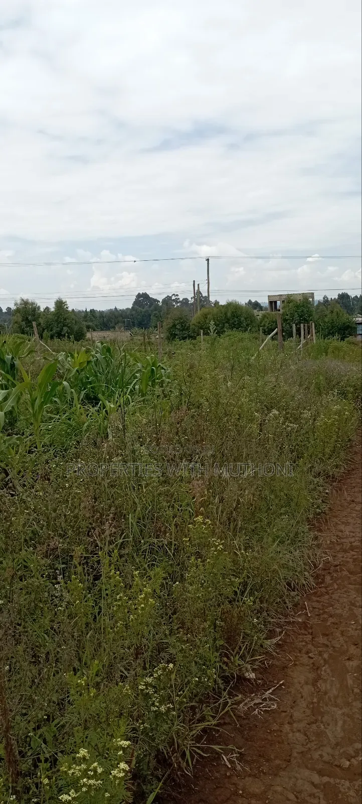 50×100 Plots for Sale in Kamangu, Kikuyu in Karai