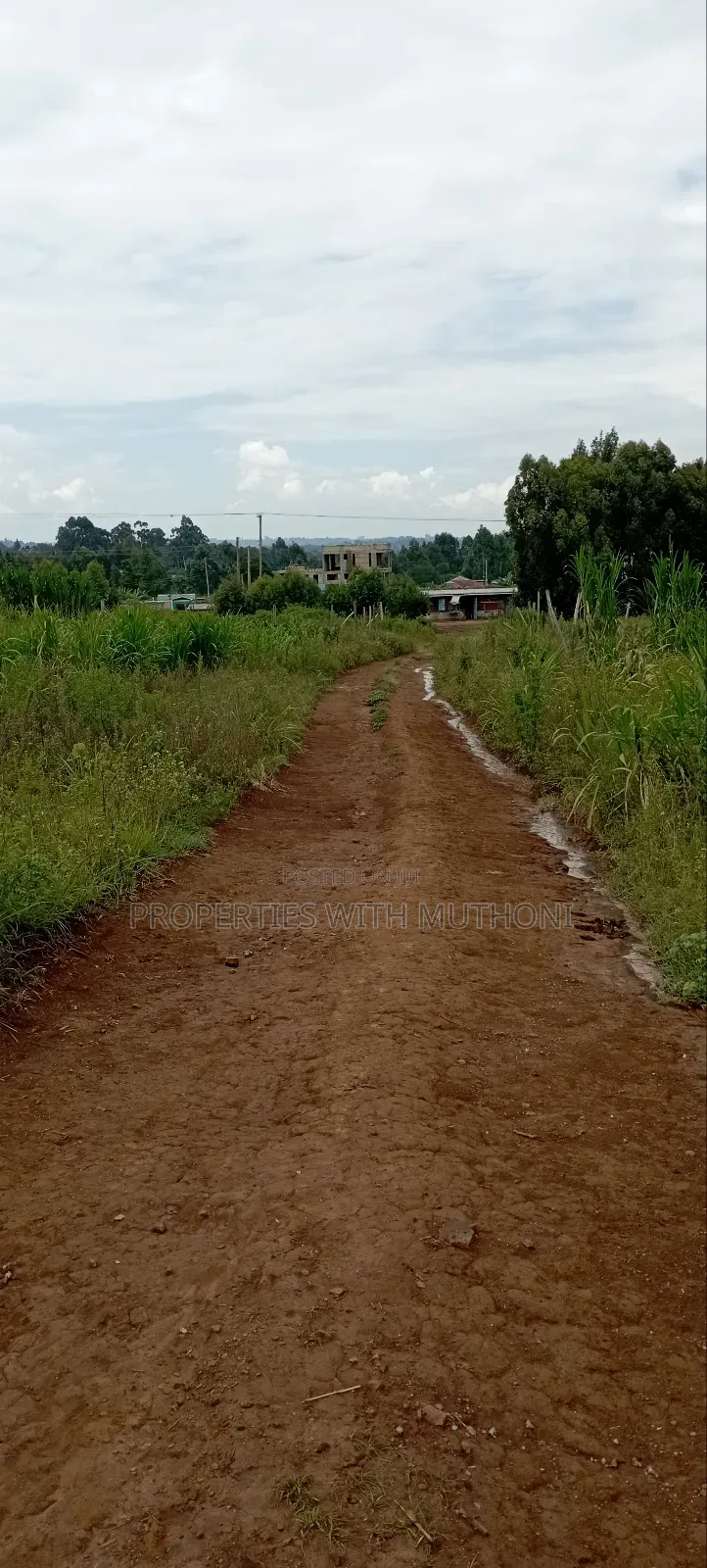 50×100 Plots for Sale in Kamangu, Kikuyu in Karai