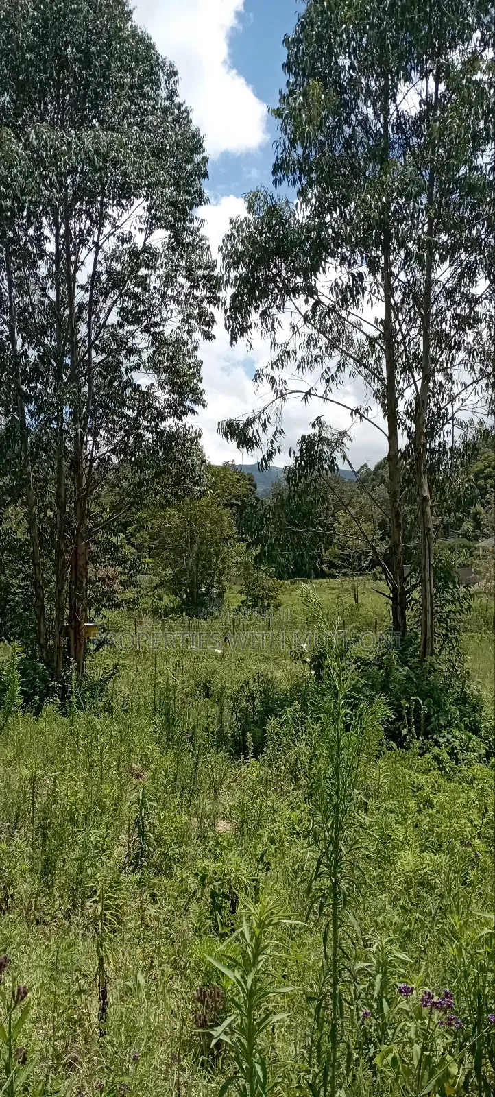 50×100 Plots for Sale in Matasia, Ngong. in Matasia