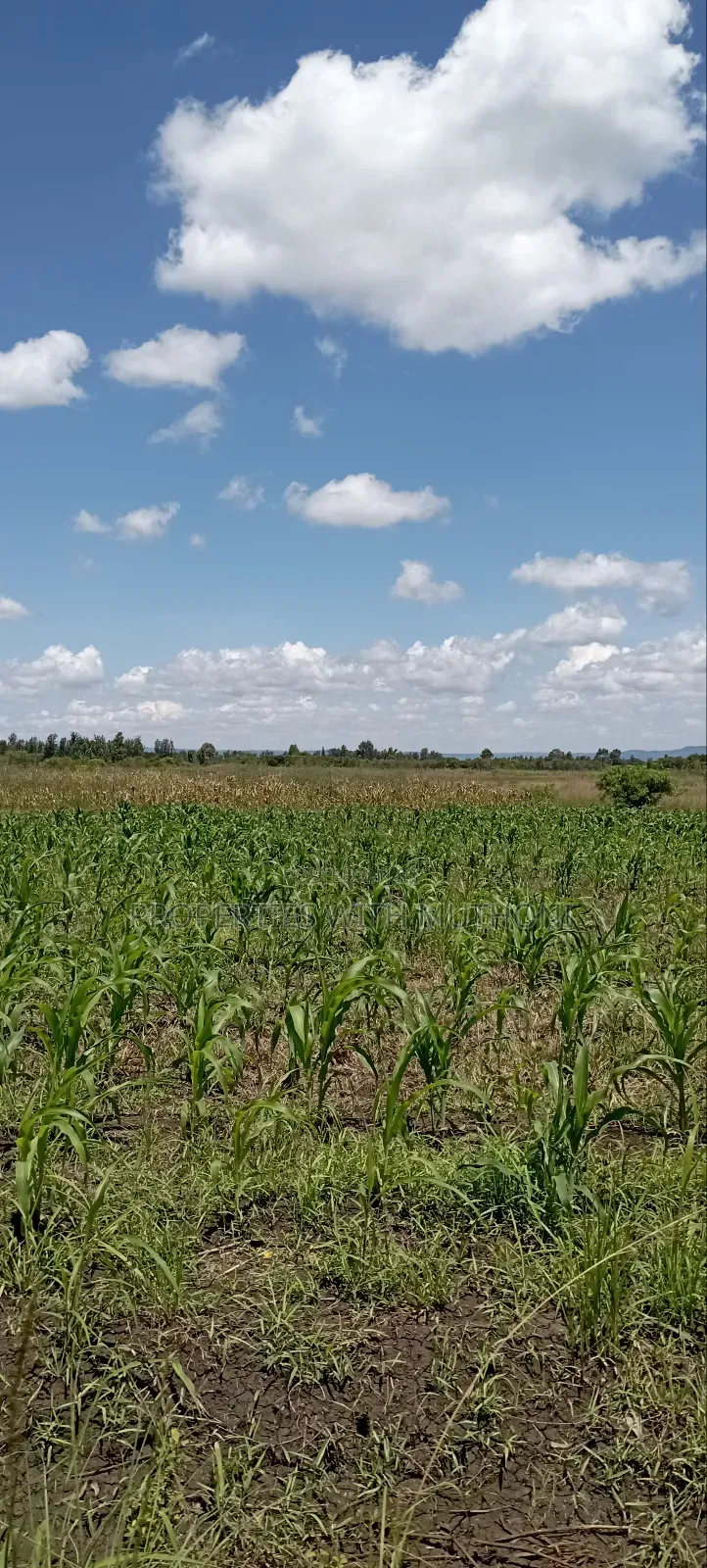 1 Acre Land for Sale in Kiamikuyu, Kandongu, Mwea. in Mutithi