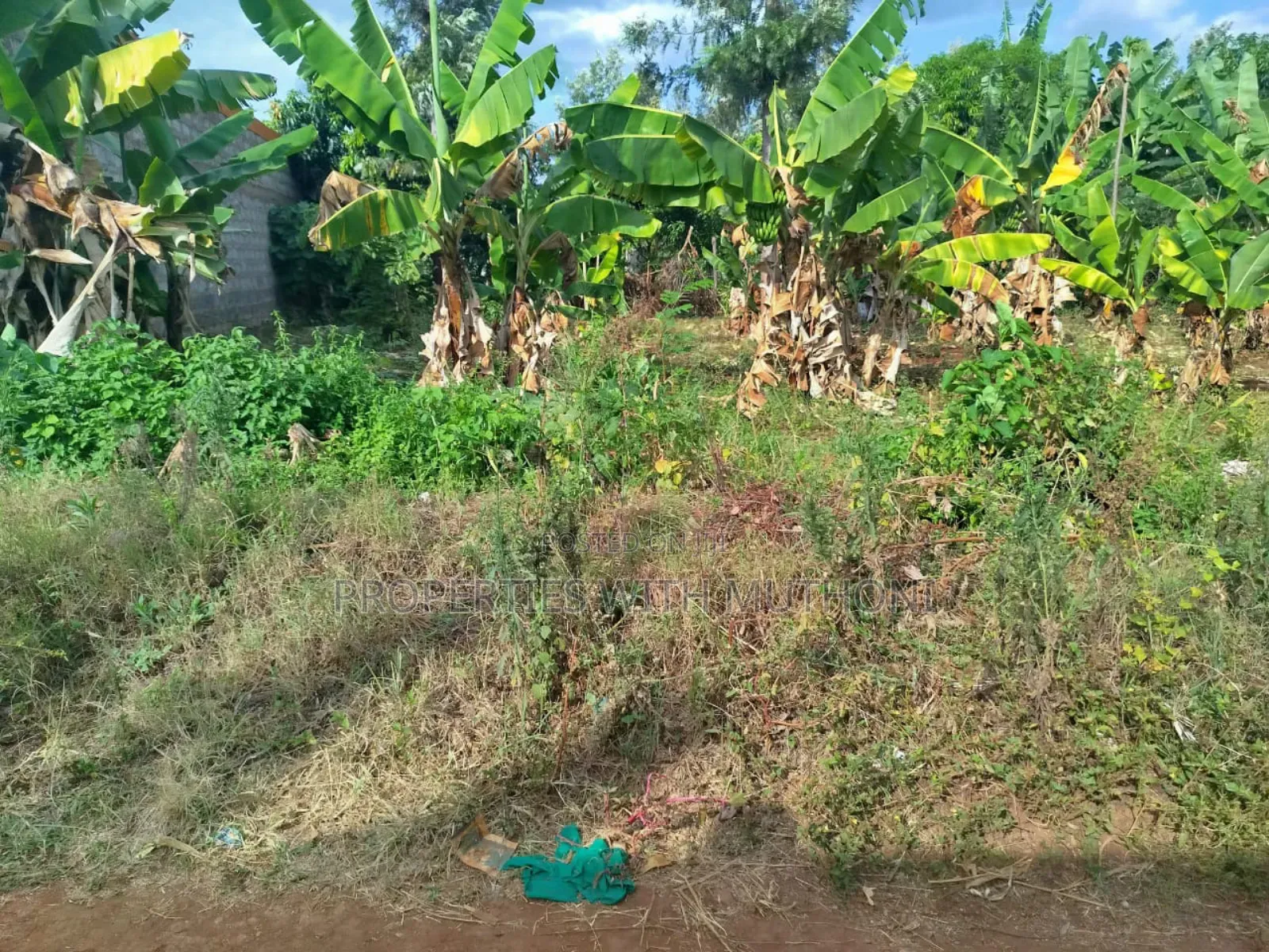 50×100 Plot for Sale in Gitwe, Kutus in Nyangati