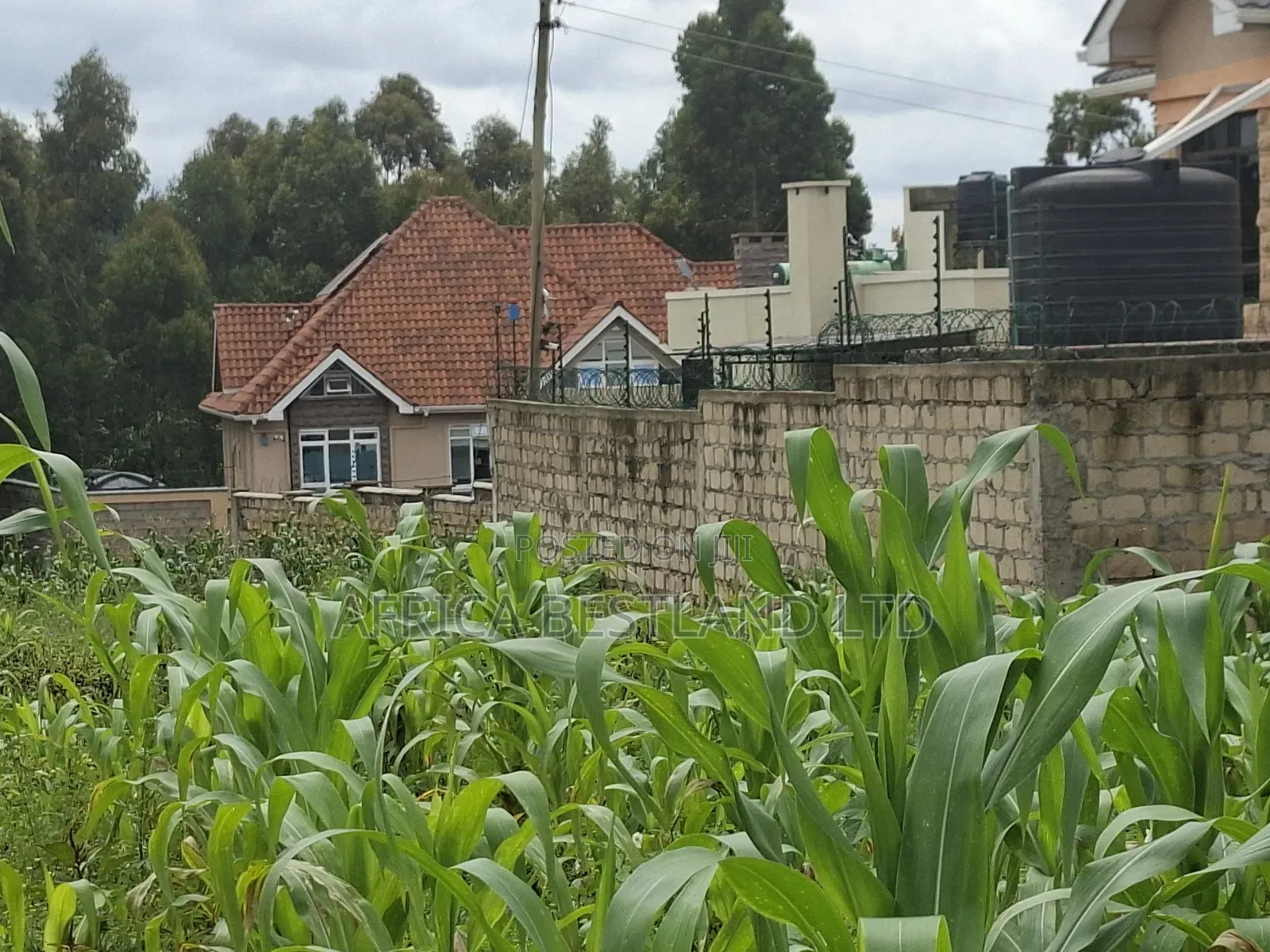 100x100 Residential Plot for Sale in Gikambura in Kikuyu