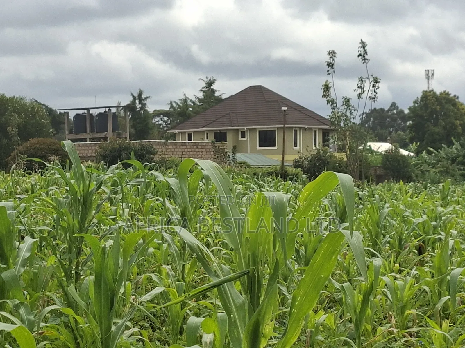 100x100 Residential Plot for Sale in Gikambura in Kikuyu
