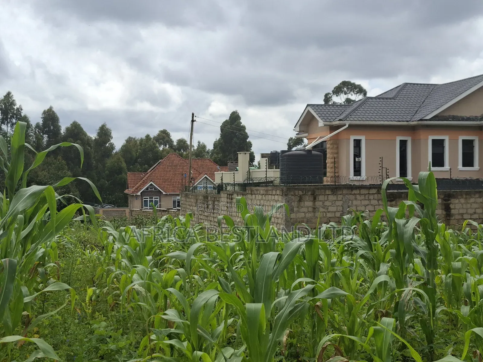 100x100 Residential Plot for Sale in Gikambura in Kikuyu