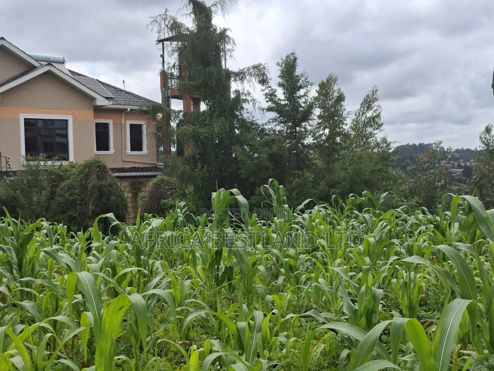 100x100 Residential Plot for Sale in Gikambura in Kikuyu