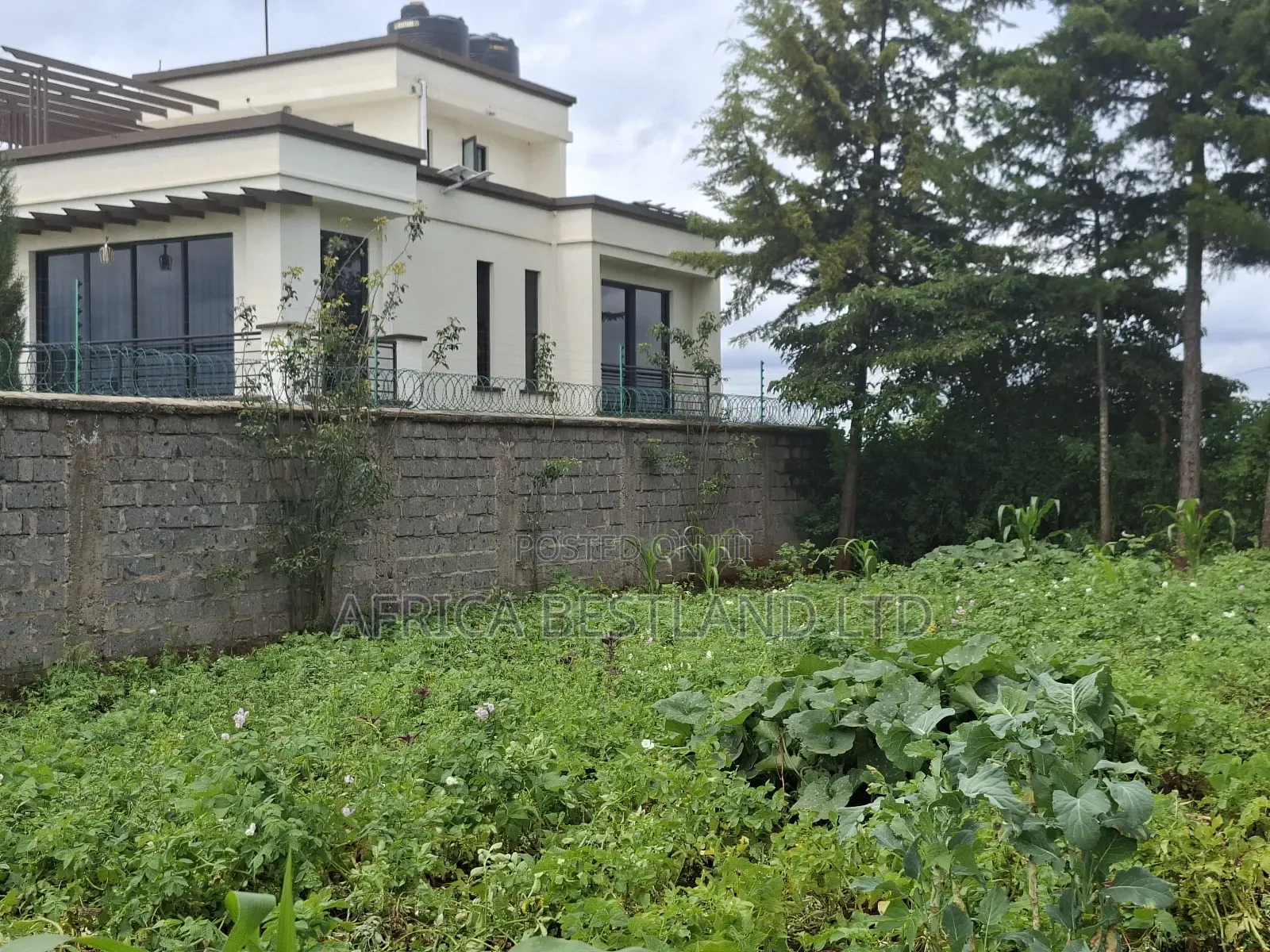 100x100 Residential Plot for Sale in Gikambura in Kikuyu