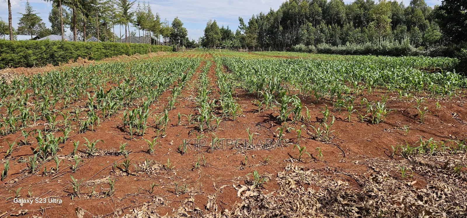 1 Acre Land for Sale in Kapseret Bypass Lobo in Eldoret in Kapseret