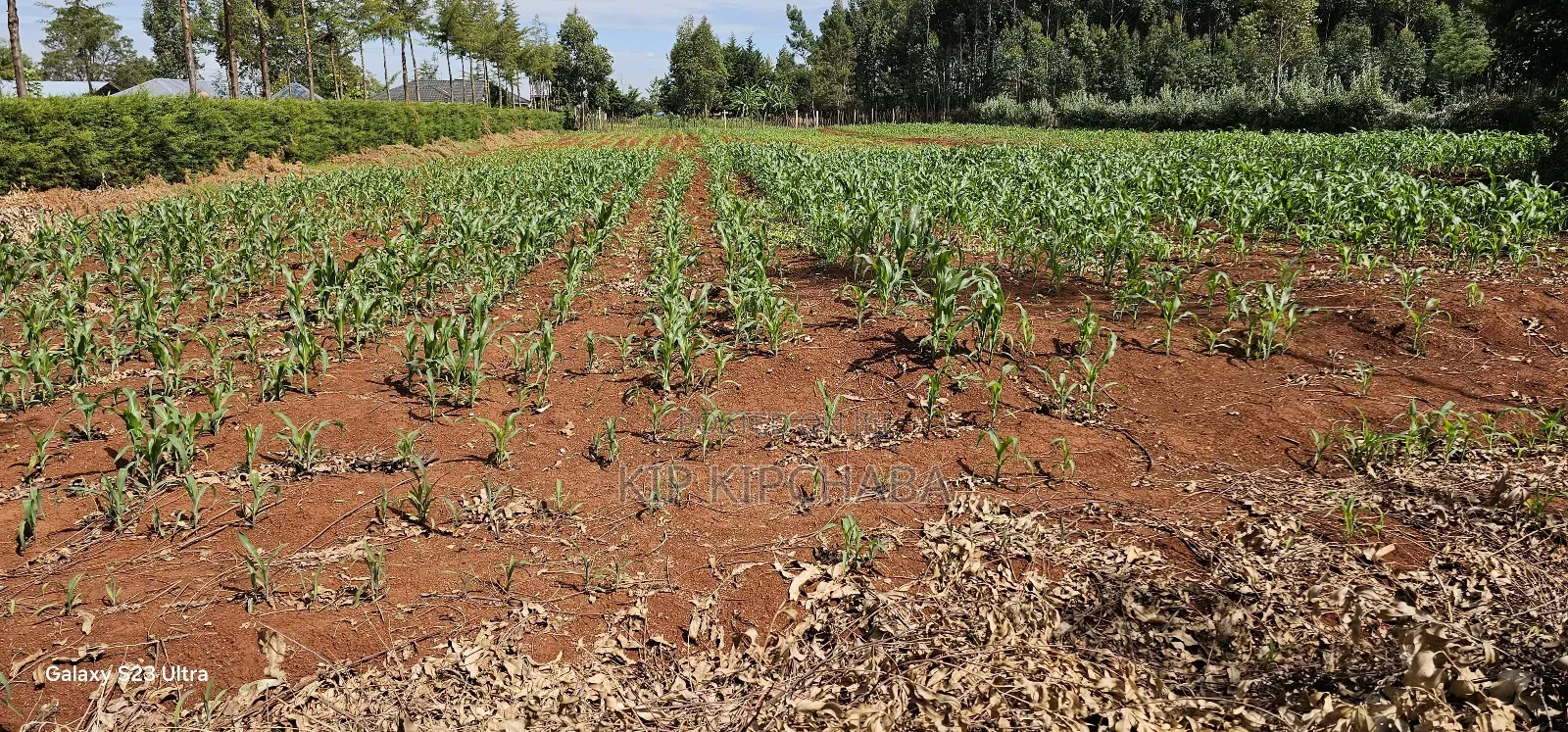 1 Acre Land for Sale in Kapseret Bypass Lobo in Eldoret in Kapseret