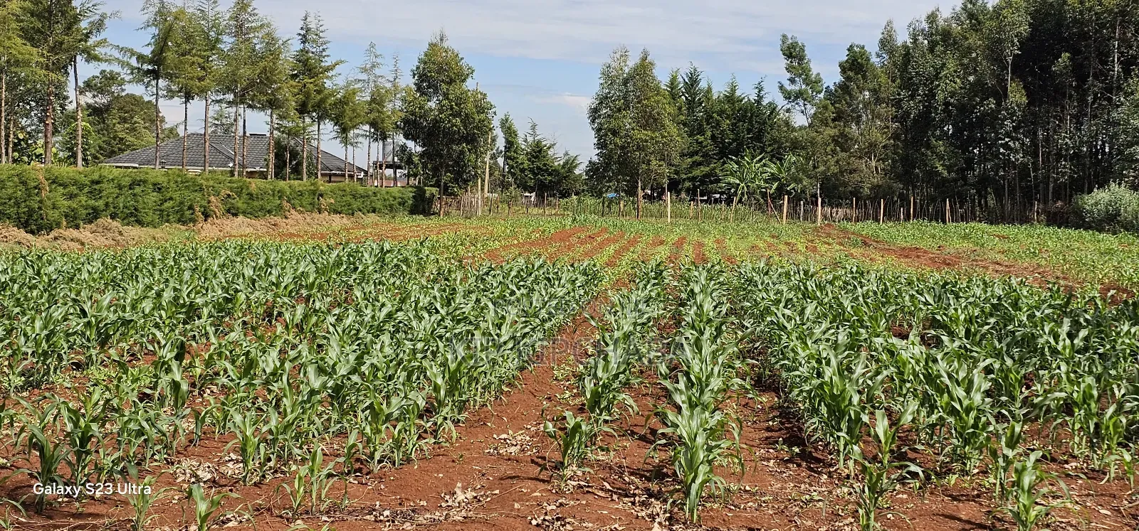 1 Acre Land for Sale in Kapseret Bypass Lobo in Eldoret in Kapseret