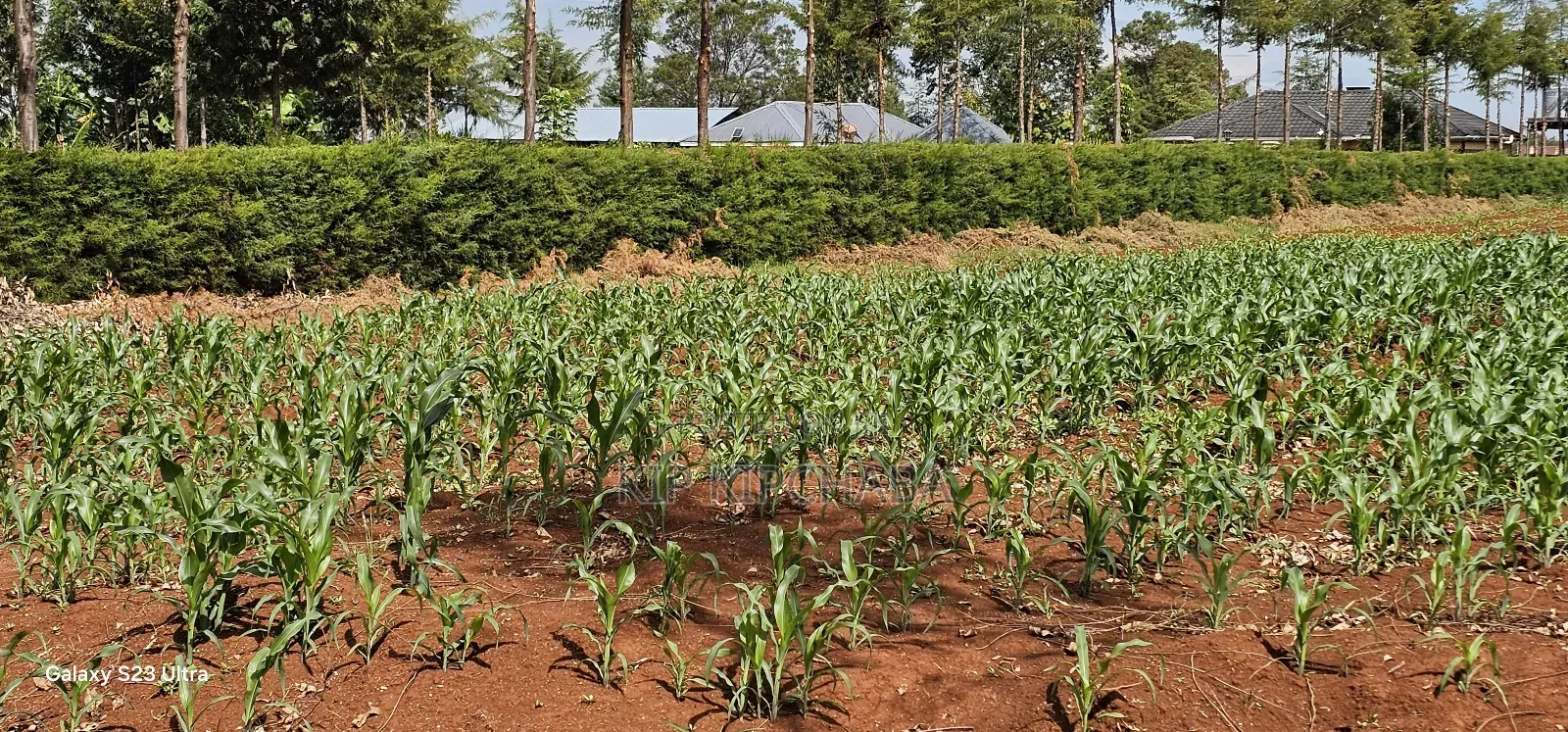 1 Acre Land for Sale in Kapseret Bypass Lobo in Eldoret in Kapseret