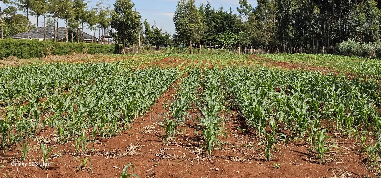 1 Acre Land for Sale in Kapseret Bypass Lobo in Eldoret in Kapseret