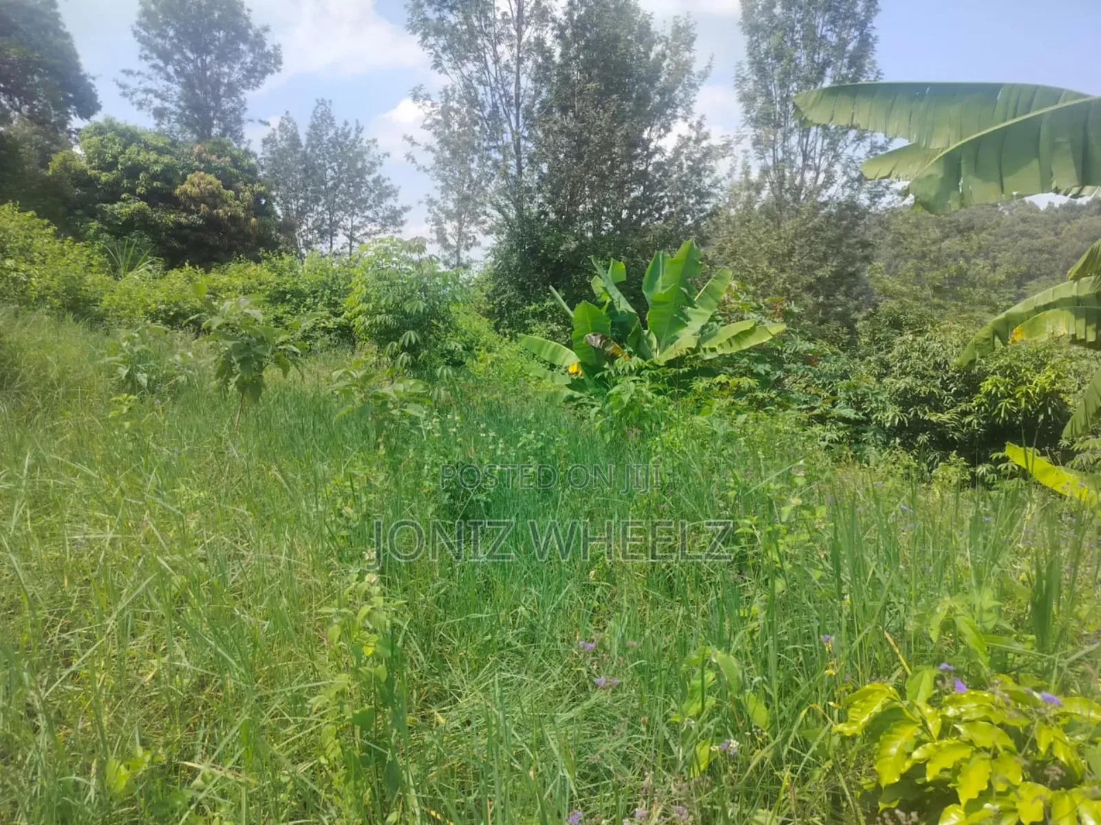 Muranga Kagure Kangwachi 2acre in Township G