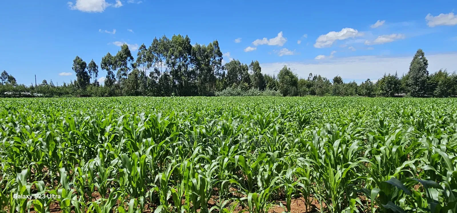5 and 10 Acres for Sale in Kapseret Mlango Eldoret in Kapseret