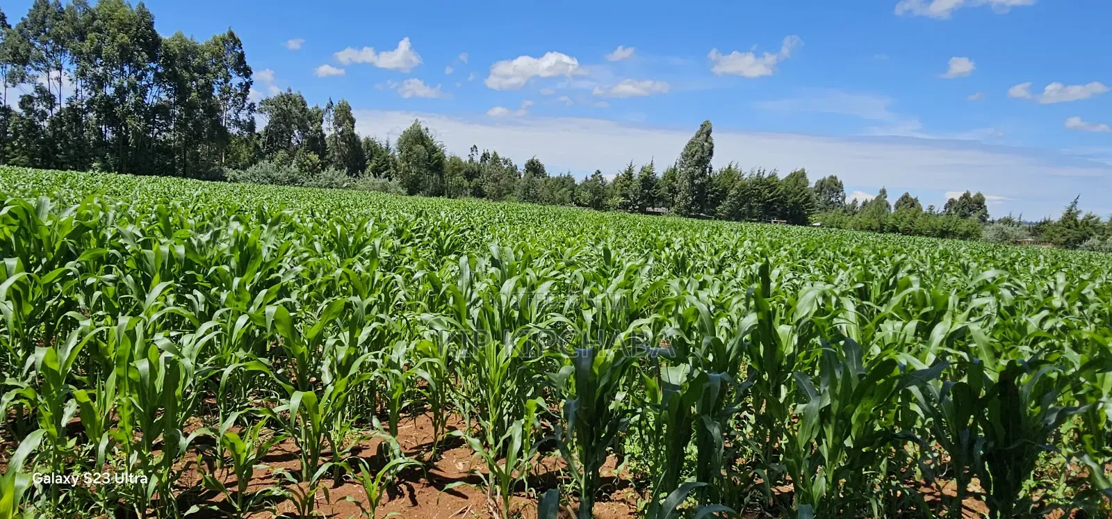 5 and 10 Acres for Sale in Kapseret Mlango Eldoret in Kapseret