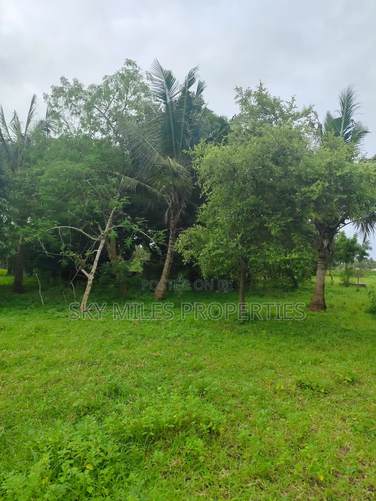 Vipingo, 8 Acres Available for Sale in Vipingo