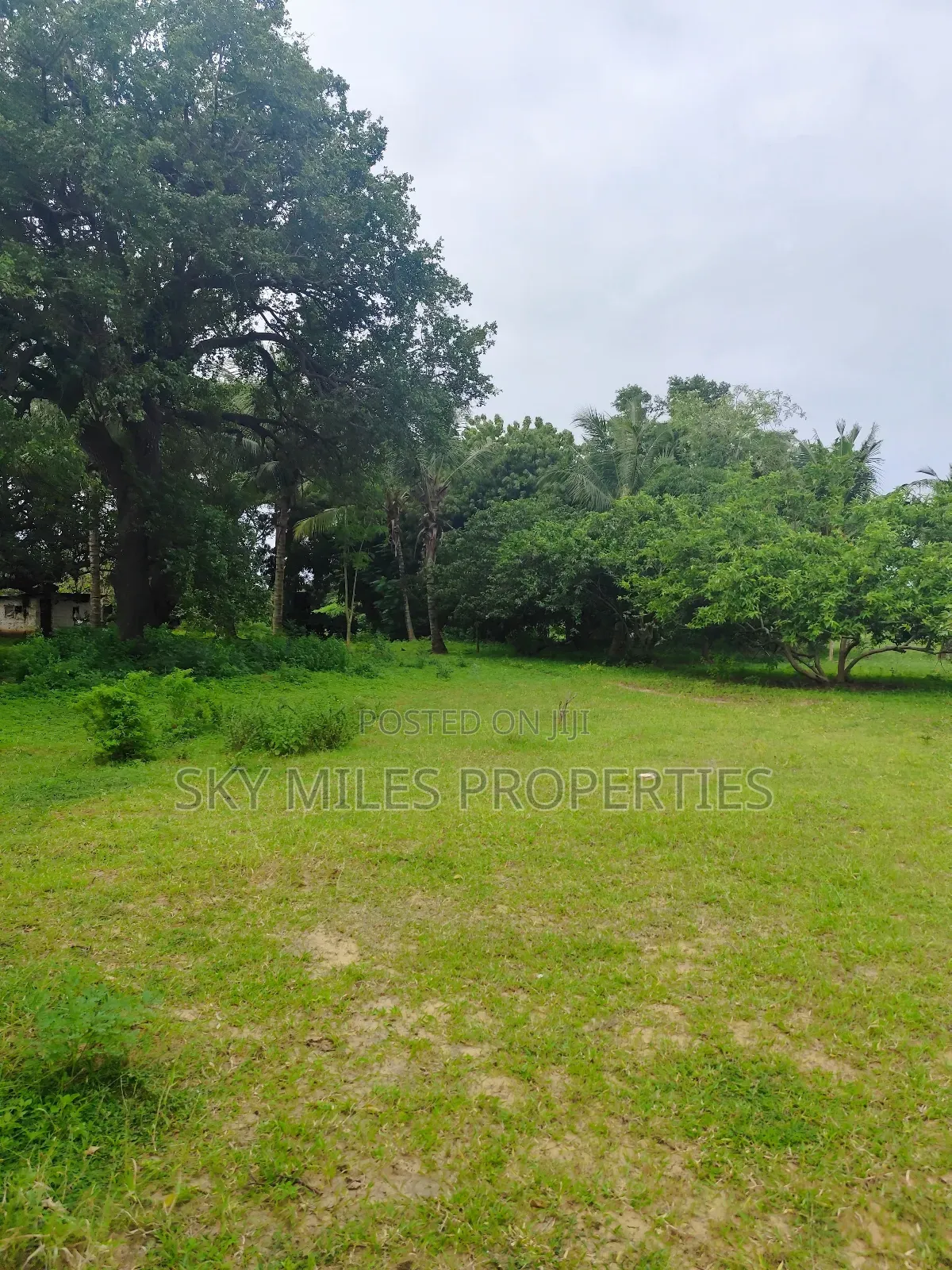 Vipingo, 8 Acres Available for Sale in Vipingo