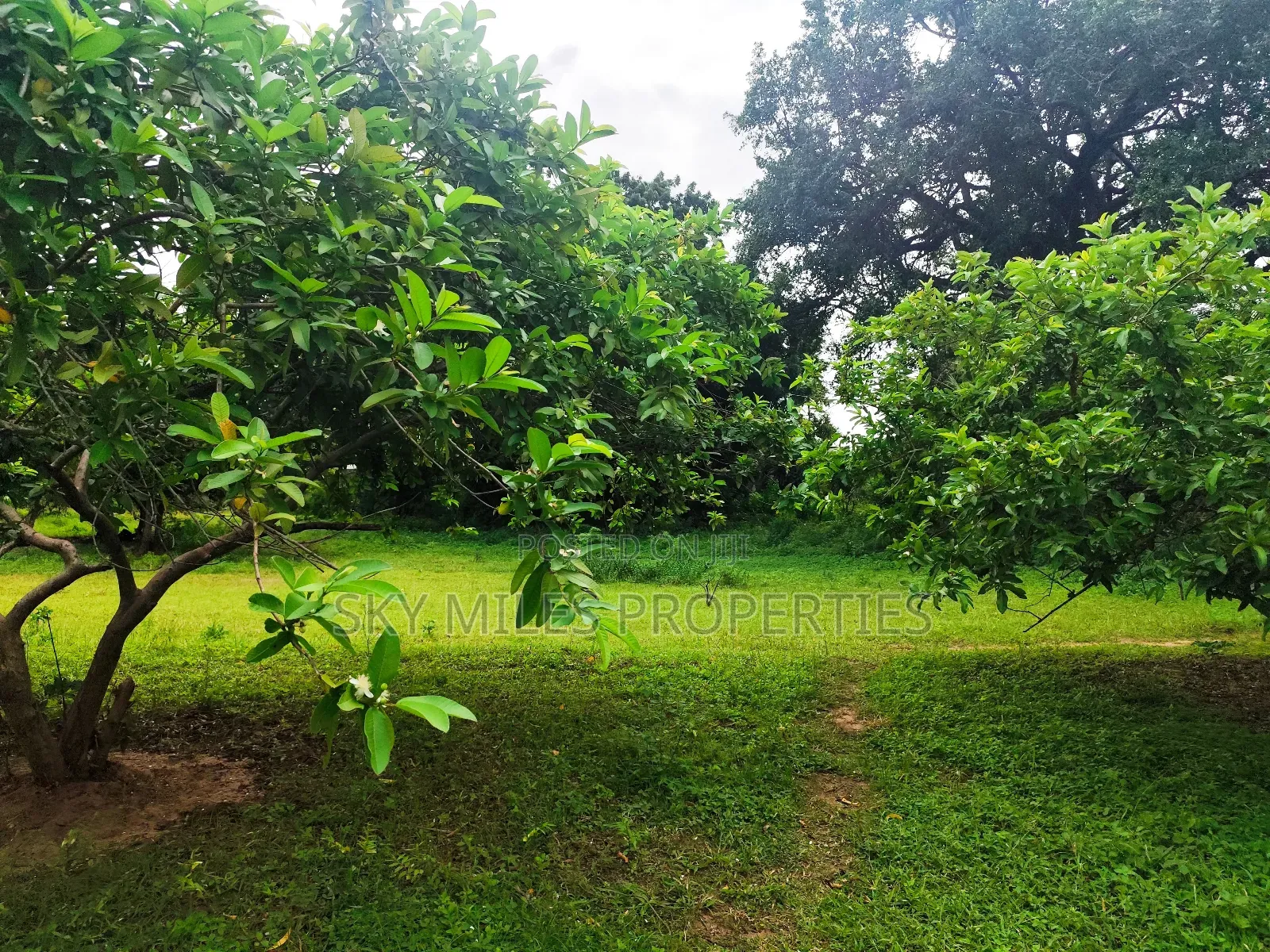 Vipingo, 8 Acres Available for Sale in Vipingo
