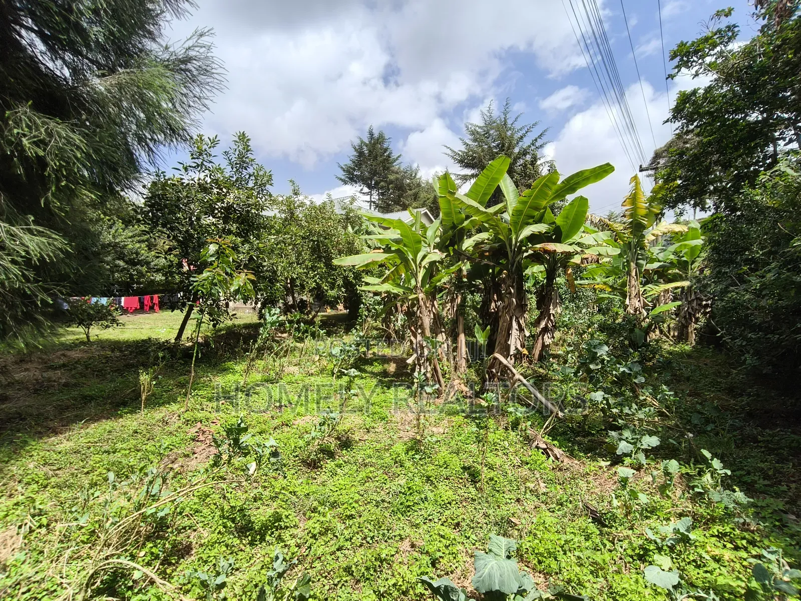 4bdrm Maisonette in Ngong Bondeni for sale in Ngong