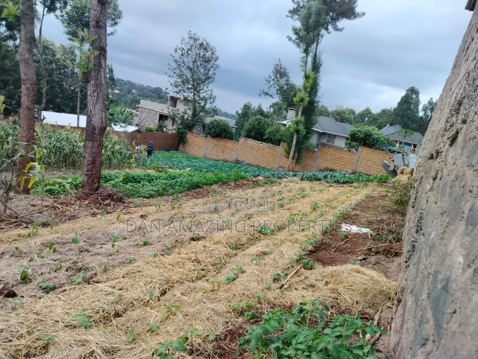 100 by 100 Plot Ngong Lemiso Rd for Sale Gated Community in Kibiku