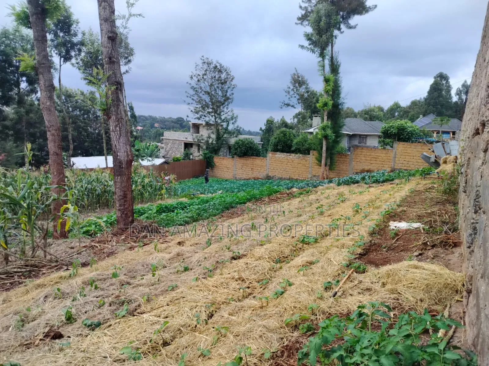 100 by 100 Plot Ngong Lemiso Rd for Sale Gated Community in Kibiku