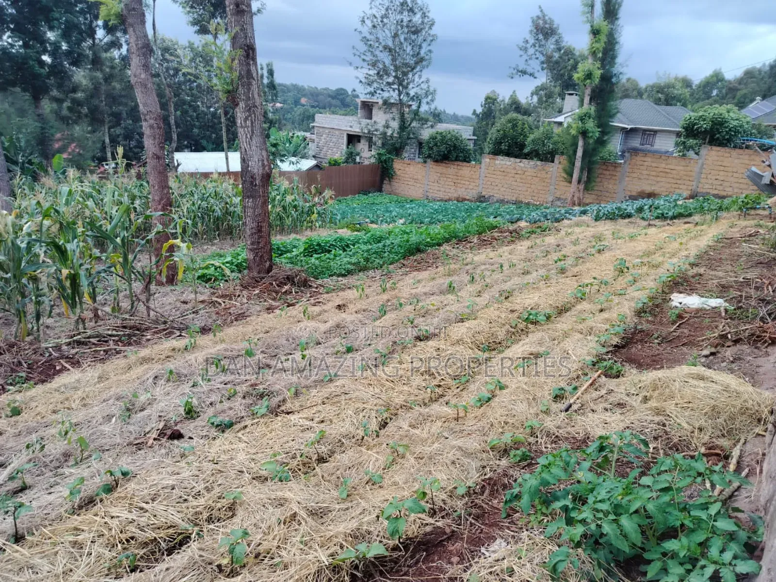 100 by 100 Plot Ngong Lemiso Rd for Sale Gated Community in Kibiku