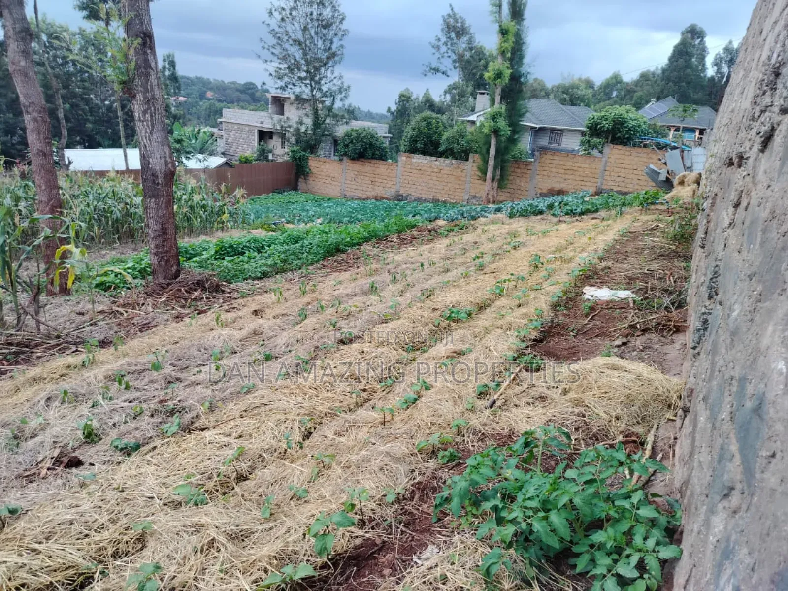 100 by 100 Plot Ngong Lemiso Rd for Sale Gated Community in Kibiku