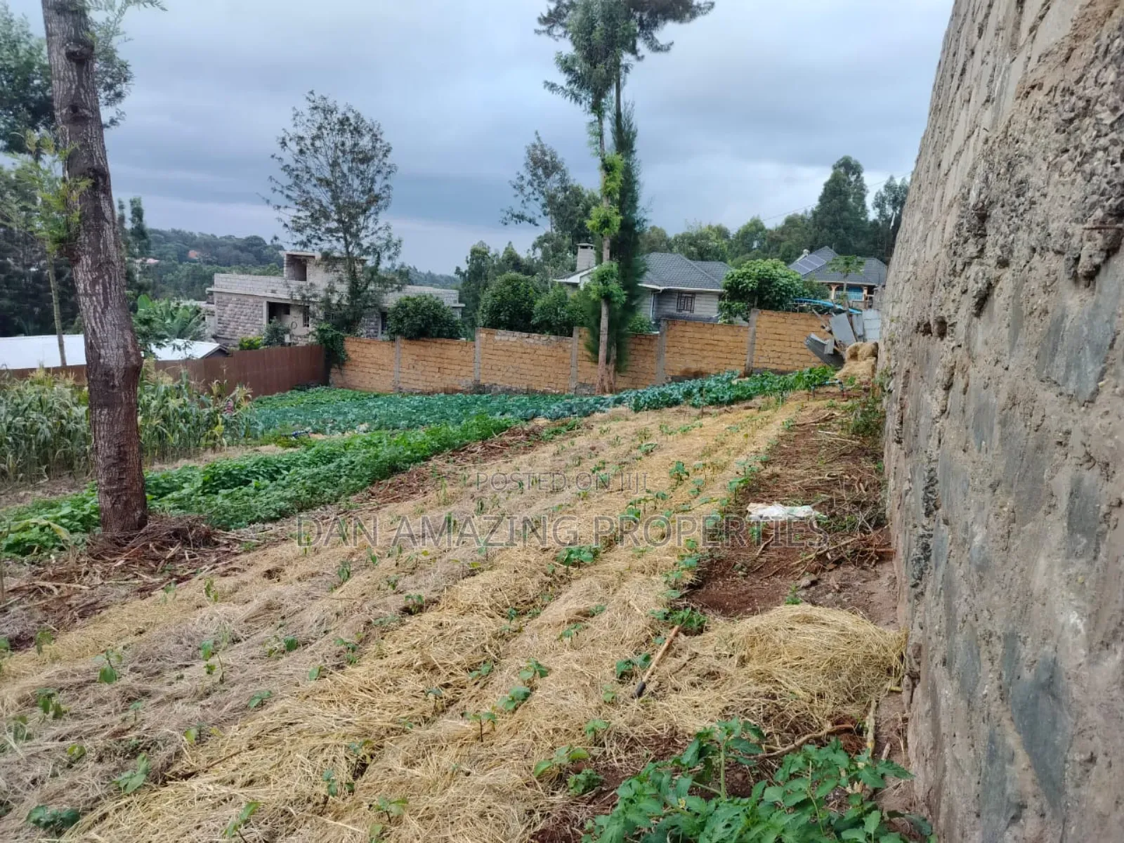 100 by 100 Plot Ngong Lemiso Rd for Sale Gated Community in Kibiku