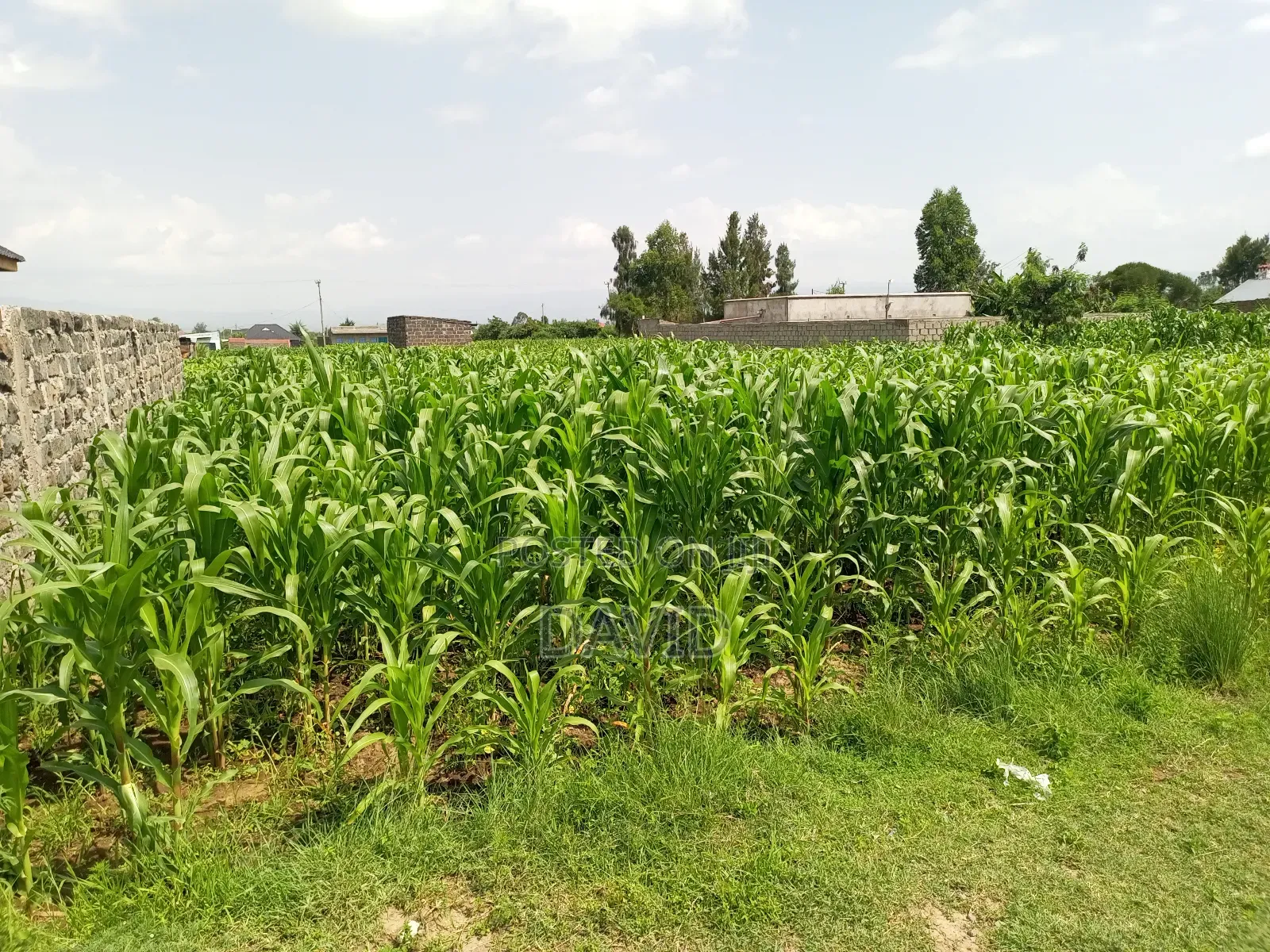 Plot for Sale in Destiny Mzee Wanyama in Nakuru Town East