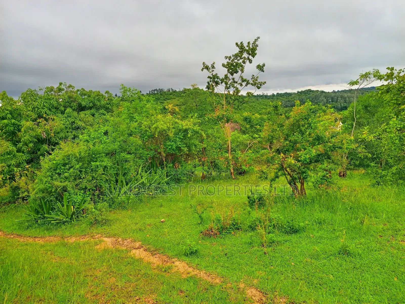 1 Acre for Sale in Kambiti in Kambiti
