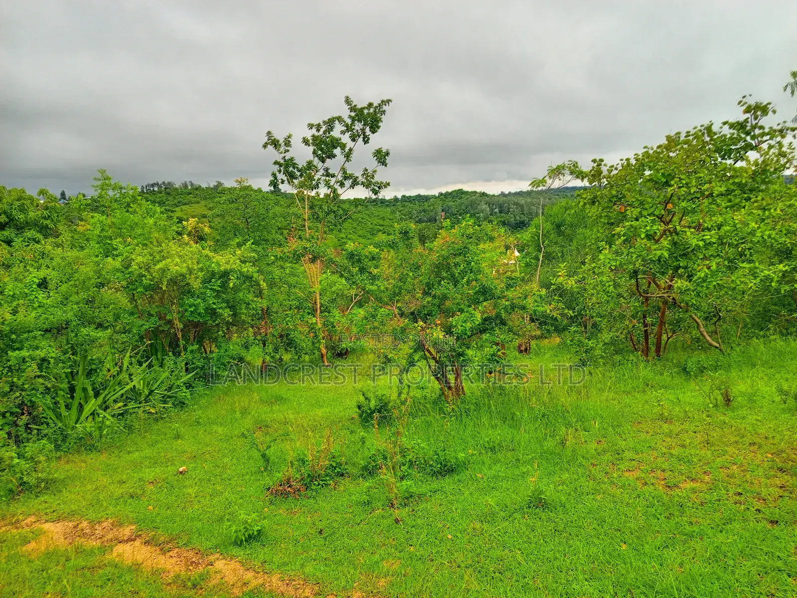 1 Acre for Sale in Kambiti in Kambiti