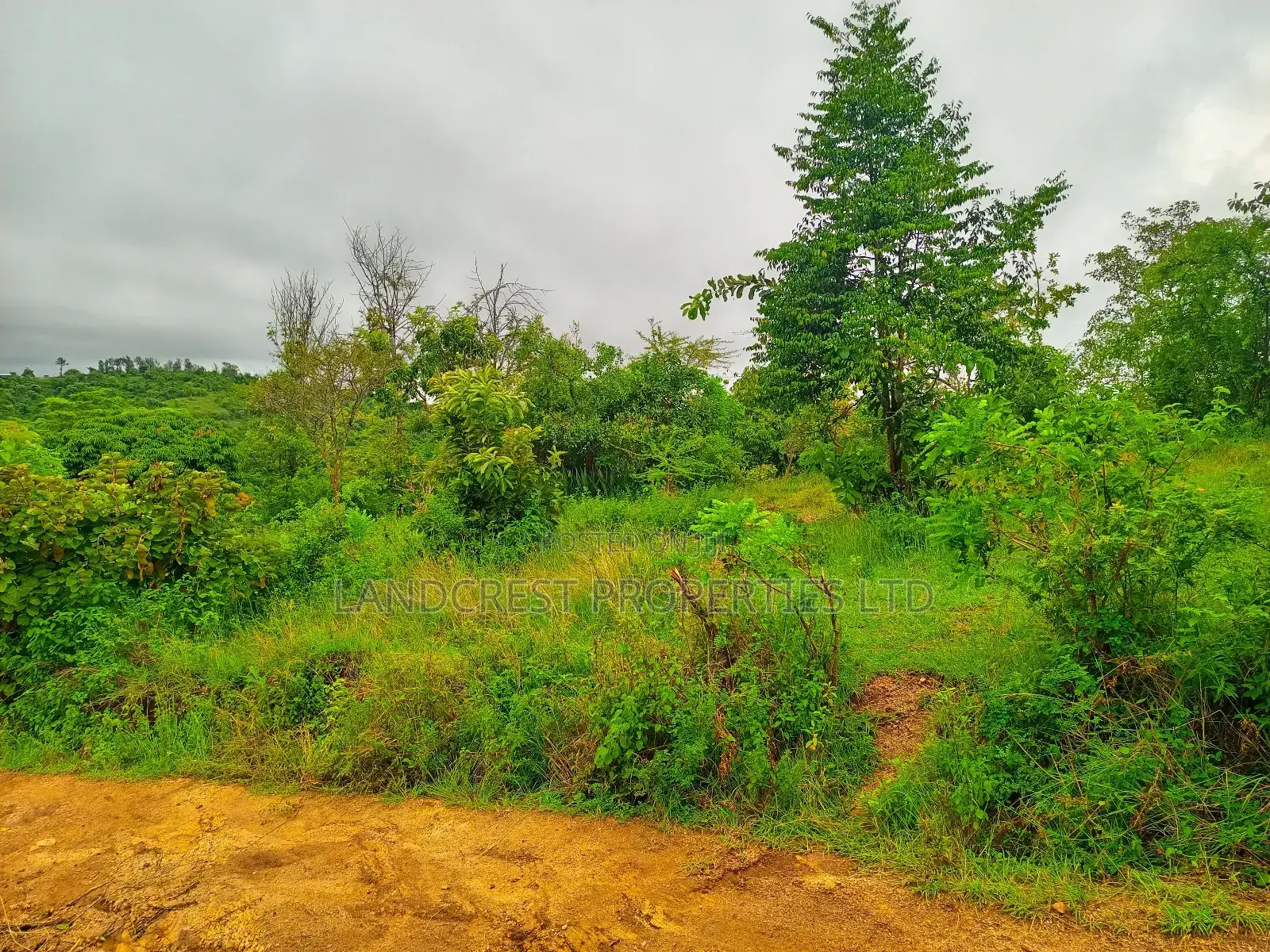 1 Acre for Sale in Kambiti in Kambiti