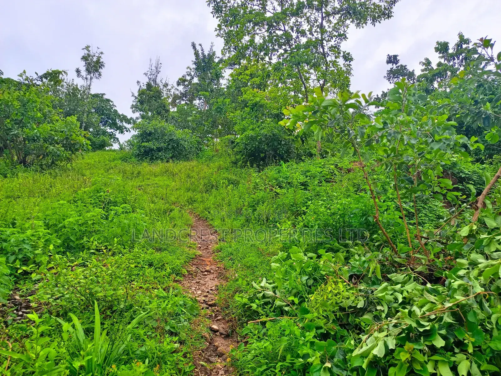 1 Acre for Sale in Kambiti in Kambiti