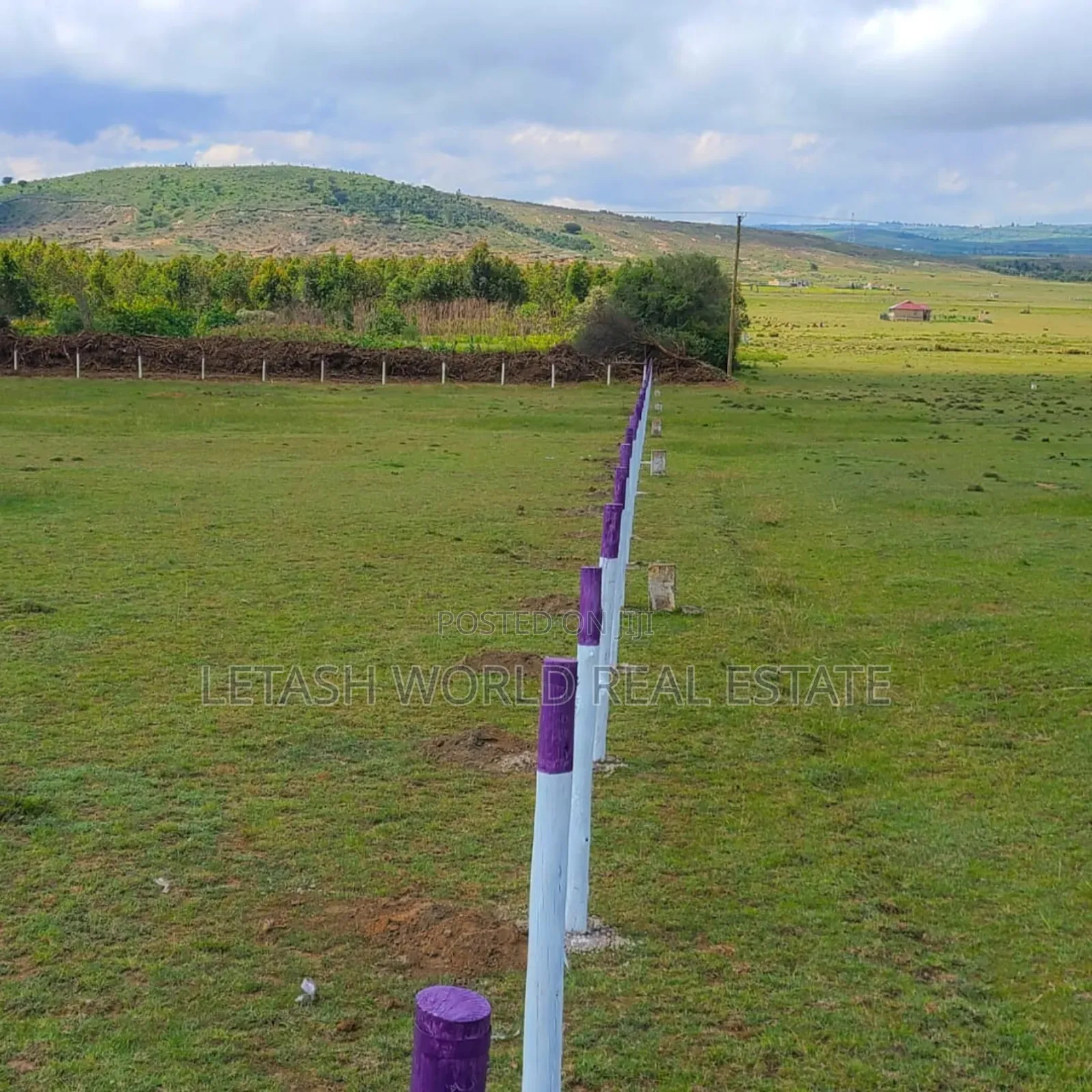 Phase 5 of Longonot View, Plots Measuring 50 by 100ft in Mirera