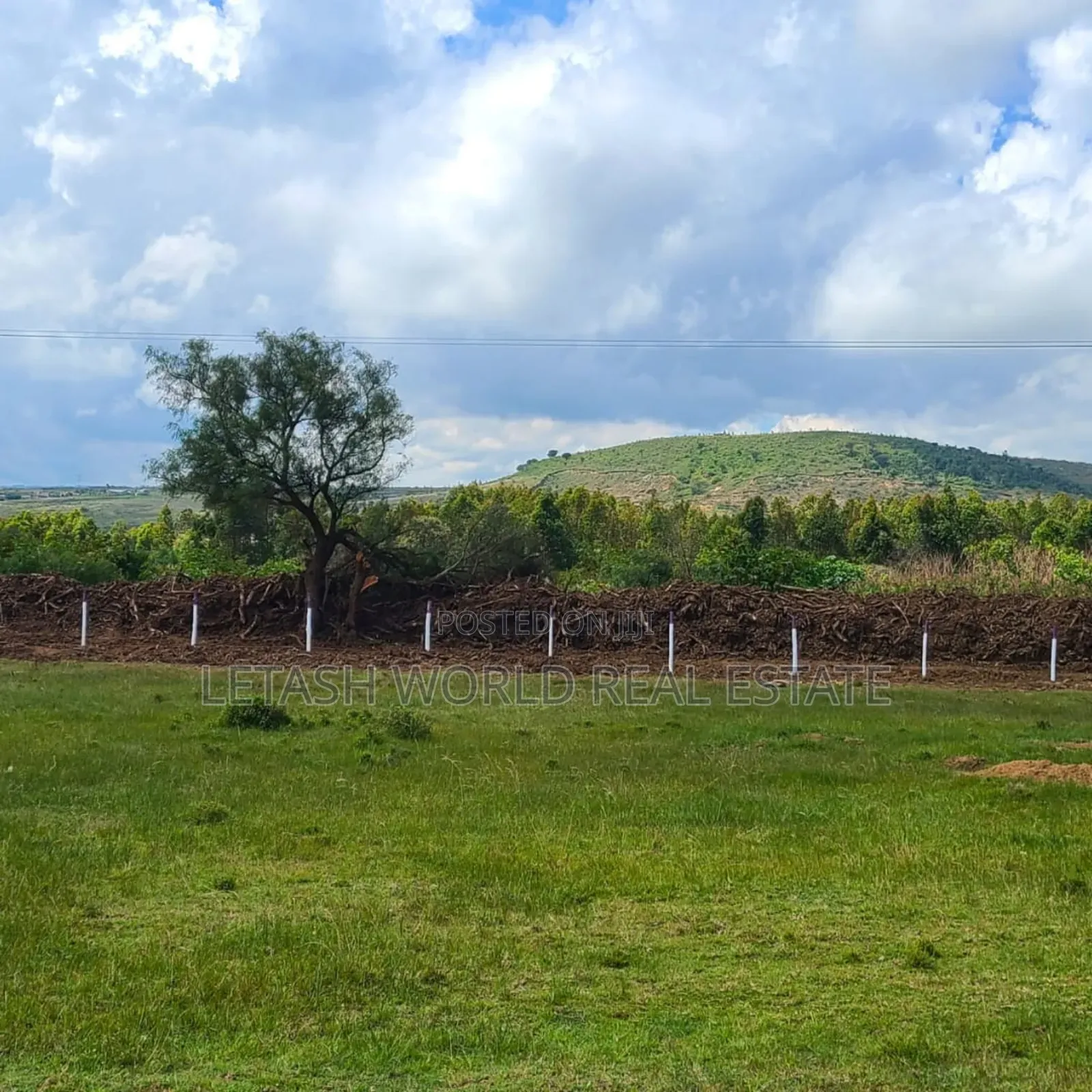Phase 5 of Longonot View, Plots Measuring 50 by 100ft in Mirera