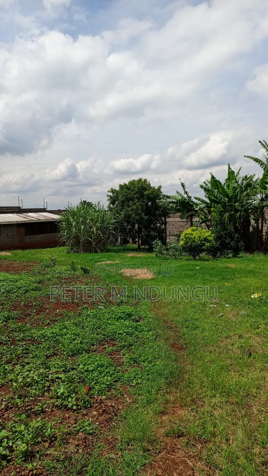 Prime Land on Sale,1/2 Acre,Touching Kiambu-Githunguri Road in Kiambu / Kiambu 