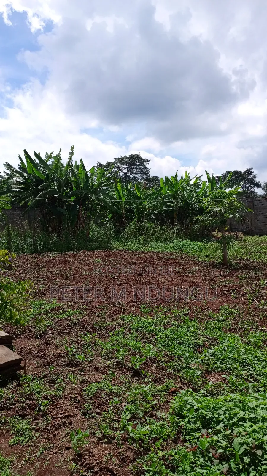 Prime Land on Sale,1/2 Acre,Touching Kiambu-Githunguri Road in Kiambu / Kiambu 