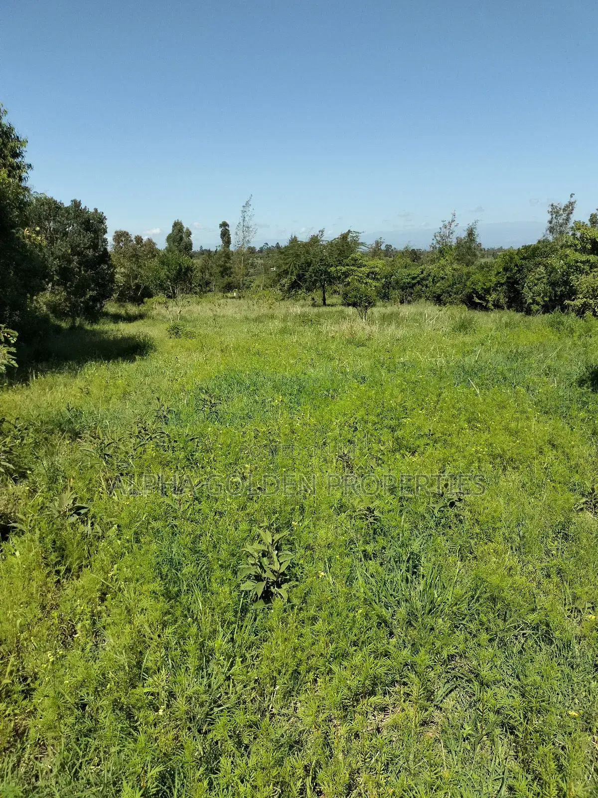 Land 1 Acre Airstrip in Gakawa