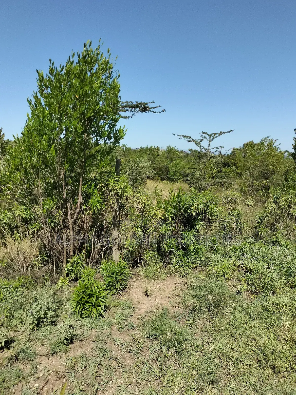 Land 1 Acre Airstrip in Gakawa