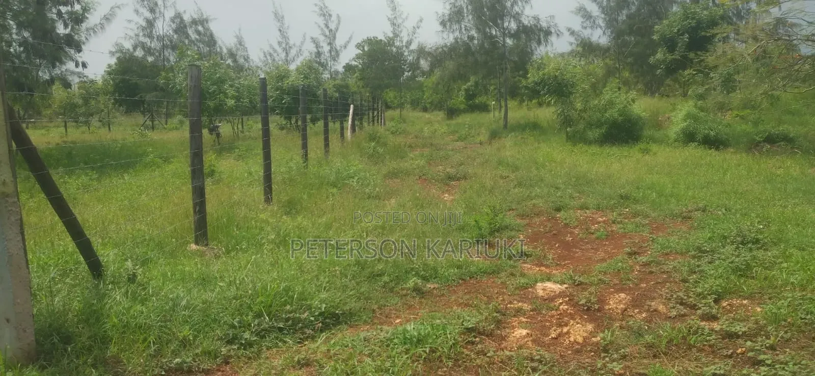 Diani Prime Plots on Sale in Diani