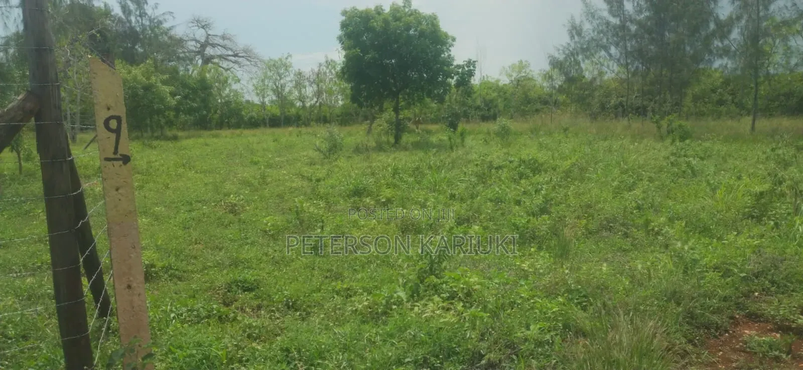 Diani Prime Plots on Sale in Diani