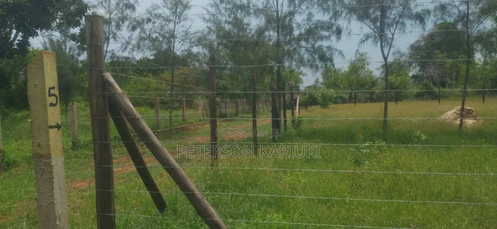Diani Prime Plots on Sale in Diani
